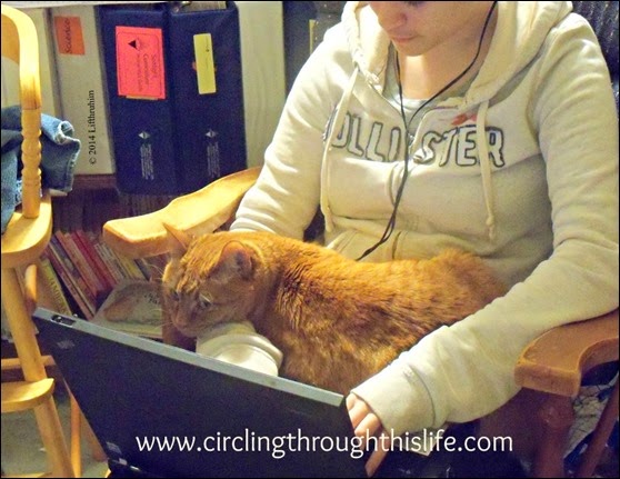 Lacey shares a lap with a computer