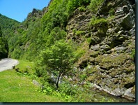 DSCN1723