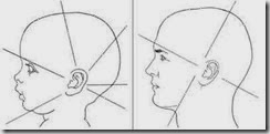 16-CRANIAL MASS 16-CRANIAL MASS