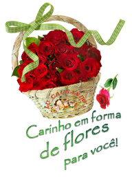causandoimagens4.png