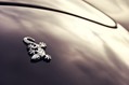Wiesmann-Roadster-MF4-4
