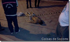 assassinado (4)