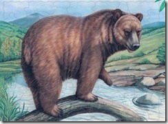 medved медведь