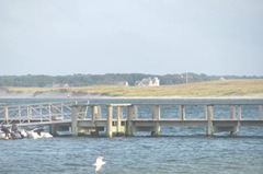 Cape Cod scene with dock