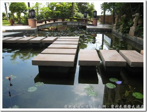 深圳寶利來國際大酒店，在A、B棟相連的地方還有一個水廊小花園，有空閒不敢到外面走走時，來這裡散散心看看荷花，應該也不錯。