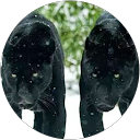 Image Google de Jacqueline Dutartre