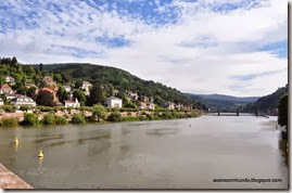 31-Heidelberg. Rio Neckar - DSC_0119