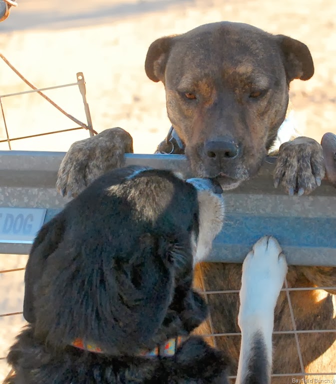 [DSC_0423%255B5%255D.jpg]