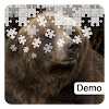 Grizzly Bear Jigsaws Demo