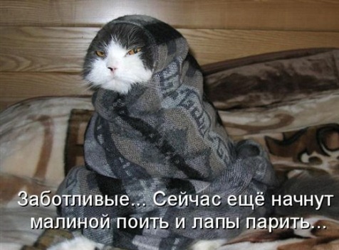 [1313674115_kotomatrix_31%255B3%255D.jpg]