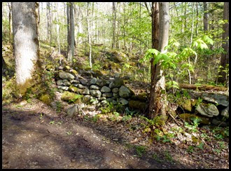 02d - old stone walls - remnants from the Elbert Cantrell farmstead, who settled here in the early 1900s