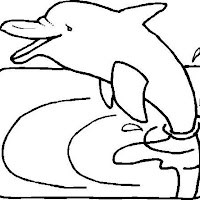 delfin.gif.jpg