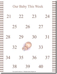 Pregnancy Calendar for Kids pg4