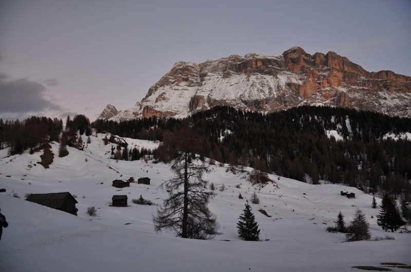 DSC_8320.JPG DSC 8320