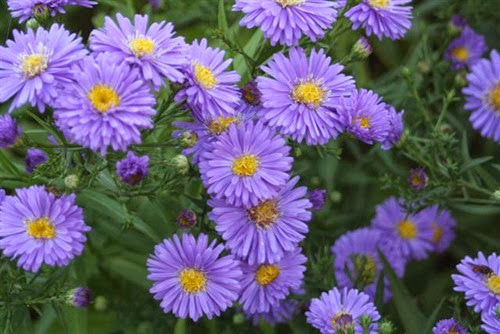 20090902 (1) (Small)