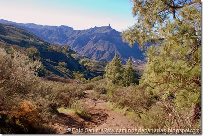 7010 Cruz Tejeda-Artenara-Guardaya(Roque Nublo) 7010 Cruz Tejeda-Artenara-Guardaya(Roque Nublo)