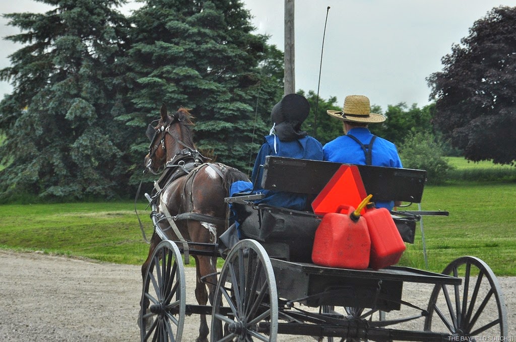 [DSC_0017%255B3%255D.jpg]