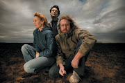 Spiderbait