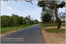 _P6A2048_road_mudumalai_bandipur_sanctuary 