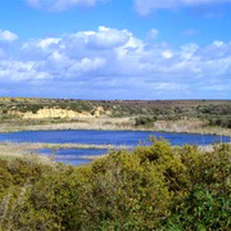  Lago Preola e Gorghi Tondi un tesoro nascosto da tutelare, valorizzare e promuovere. 