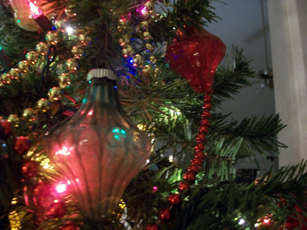 [christmas-trees-2011-0104.jpg]