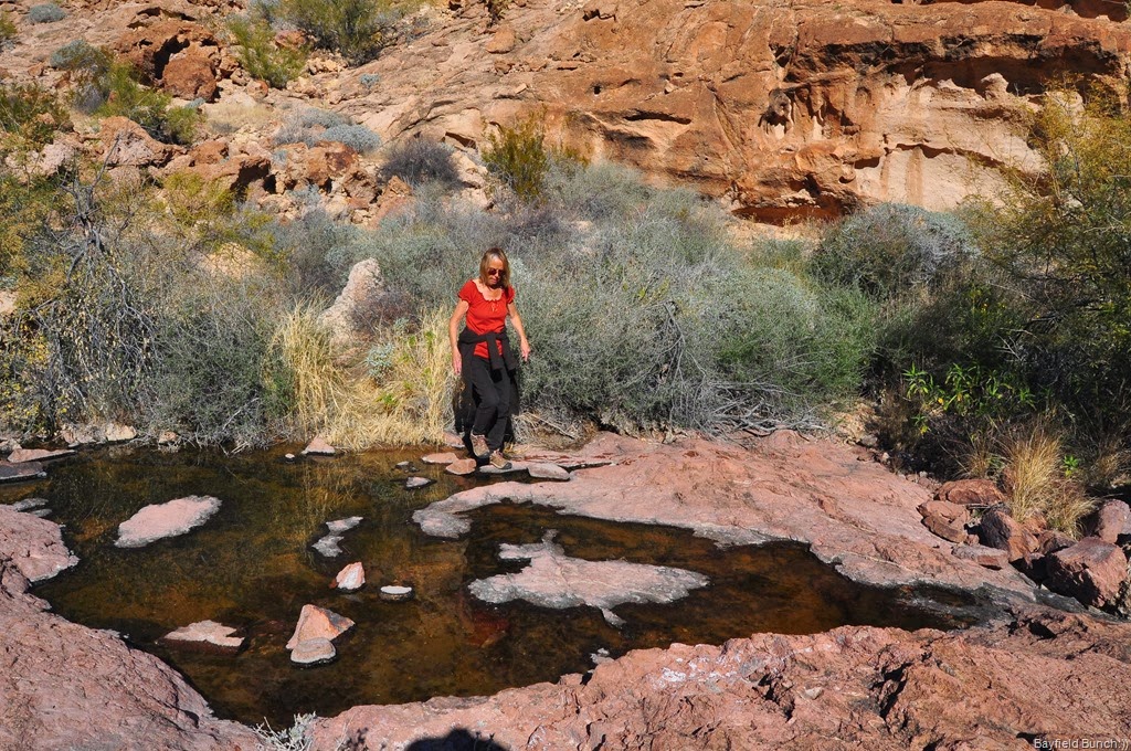 [DSC_0093%255B4%255D.jpg]