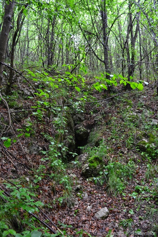 [DSC_31309.jpg]