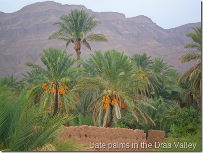 Draa Valley and Atlas Mountains
