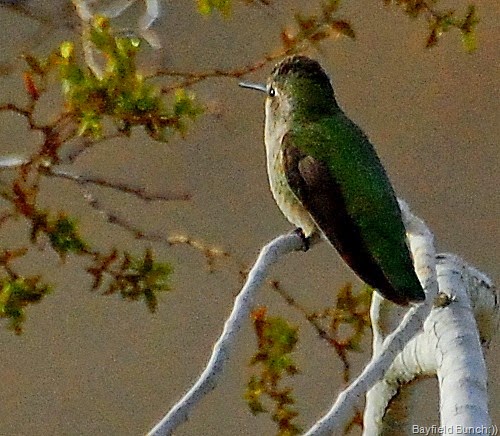 [DSC_2475%255B4%255D.jpg]