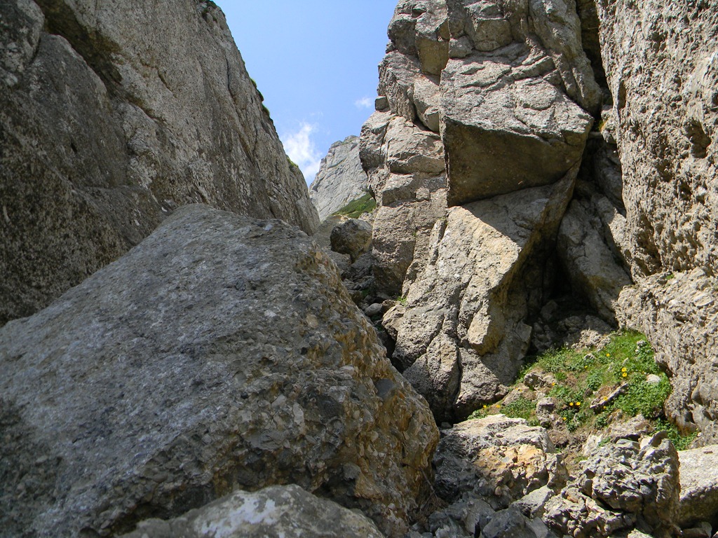 [DSCN33073.jpg]