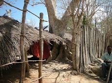 DSCN6827.JPG