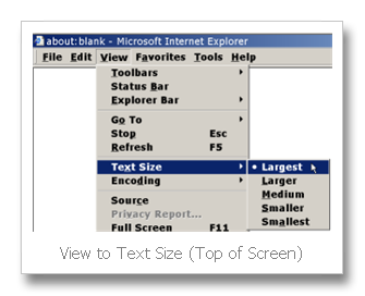 How-to Guide For The Computer Beginner: How-To Change Web Browser Font Size