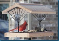 cardinal on hopper feeder