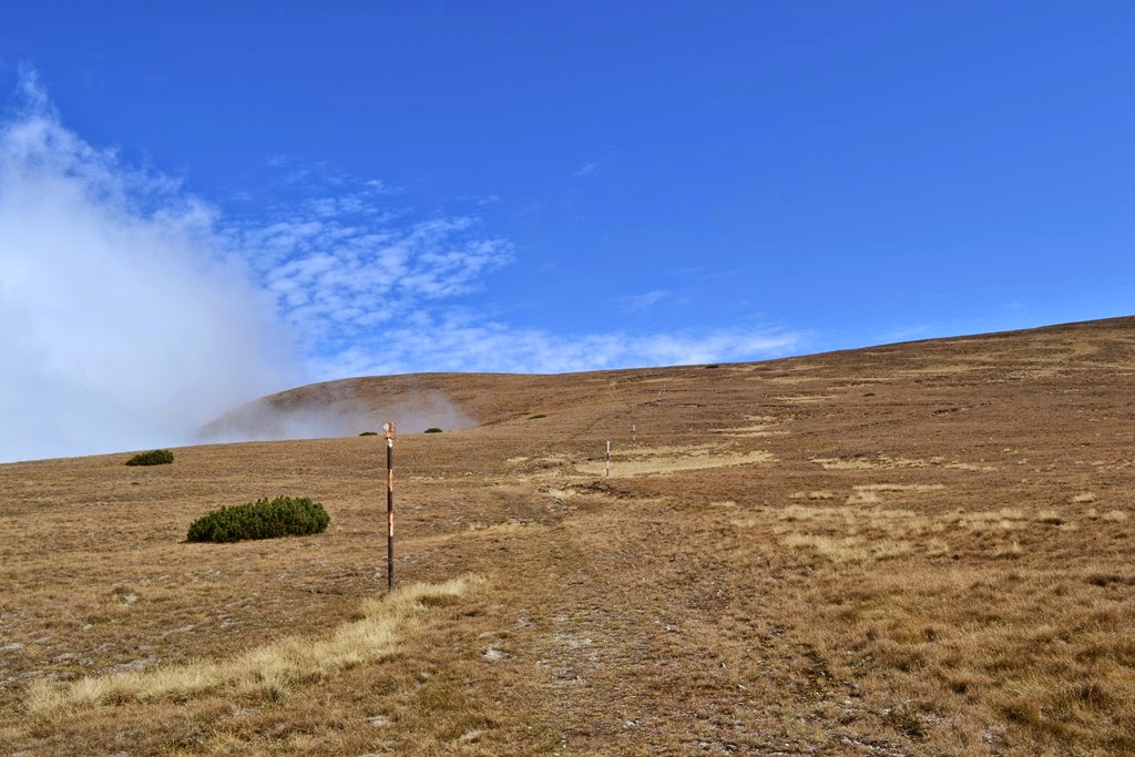[DSC_30363.jpg]