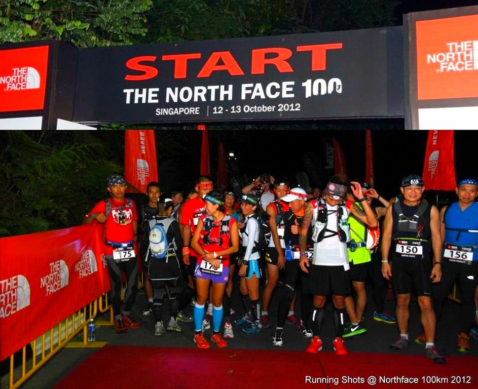 [tnf-sg-26.jpg]