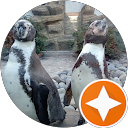 Наталия Андриевская profile picture