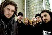 Chimaira
