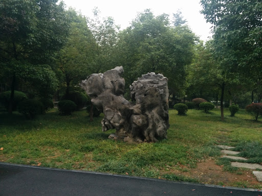 Strange Lion Stone