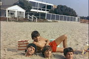 Monkees