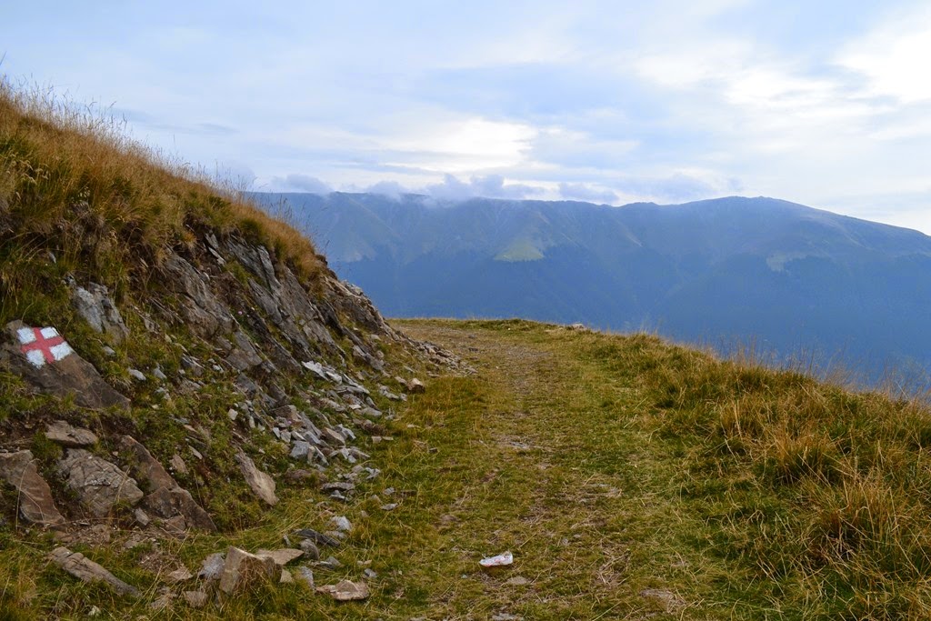 [DSC_10533.jpg]