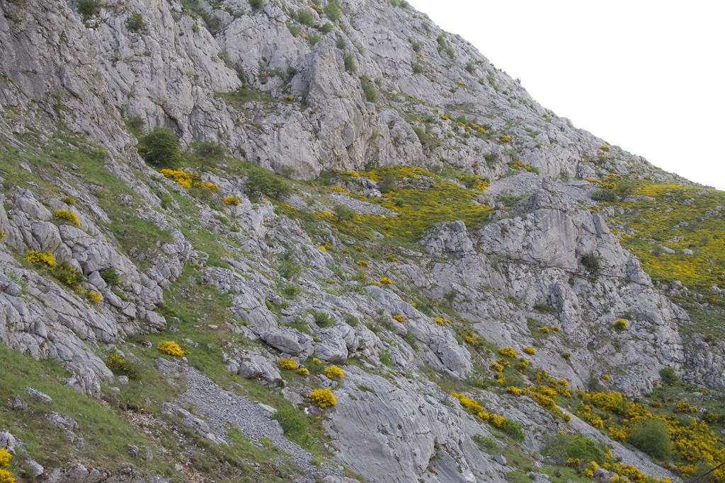 [paisaje2013-36%255B5%255D.jpg]