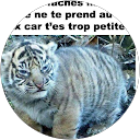 med rien de plus