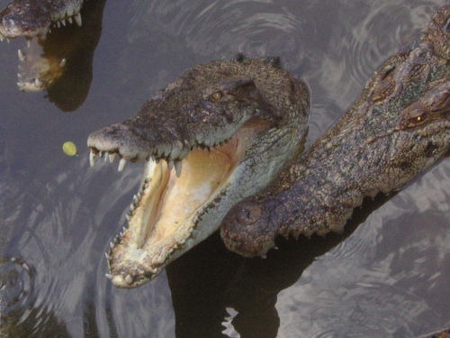 [clip_image022%255B4%255D.jpg]