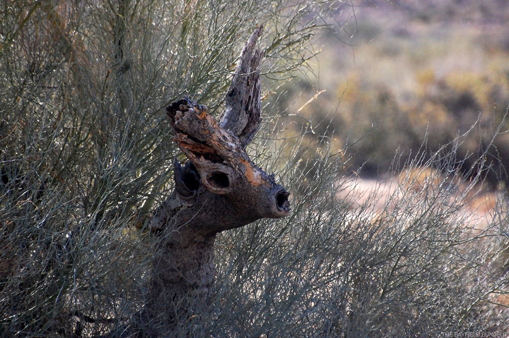 [DSC_7581%255B8%255D.jpg]