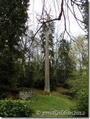 Le Châtaignier Le Châtaignier