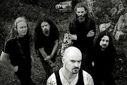 Primordial