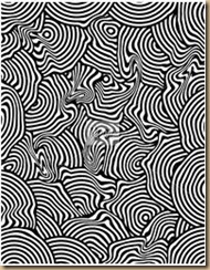 black and white illusions