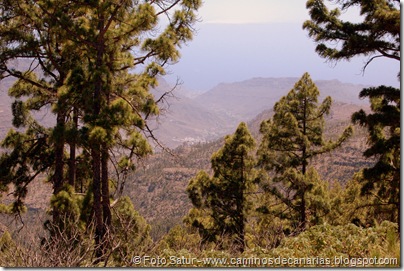 6236 Montaña Alsandara 6236 Montaña Alsandara