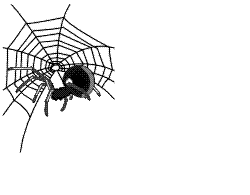 wspider02%255B1%255D.png