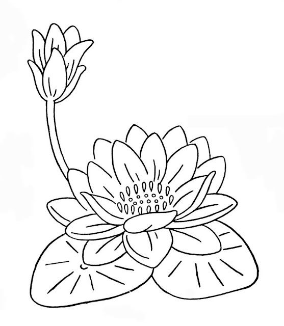 My Image 8